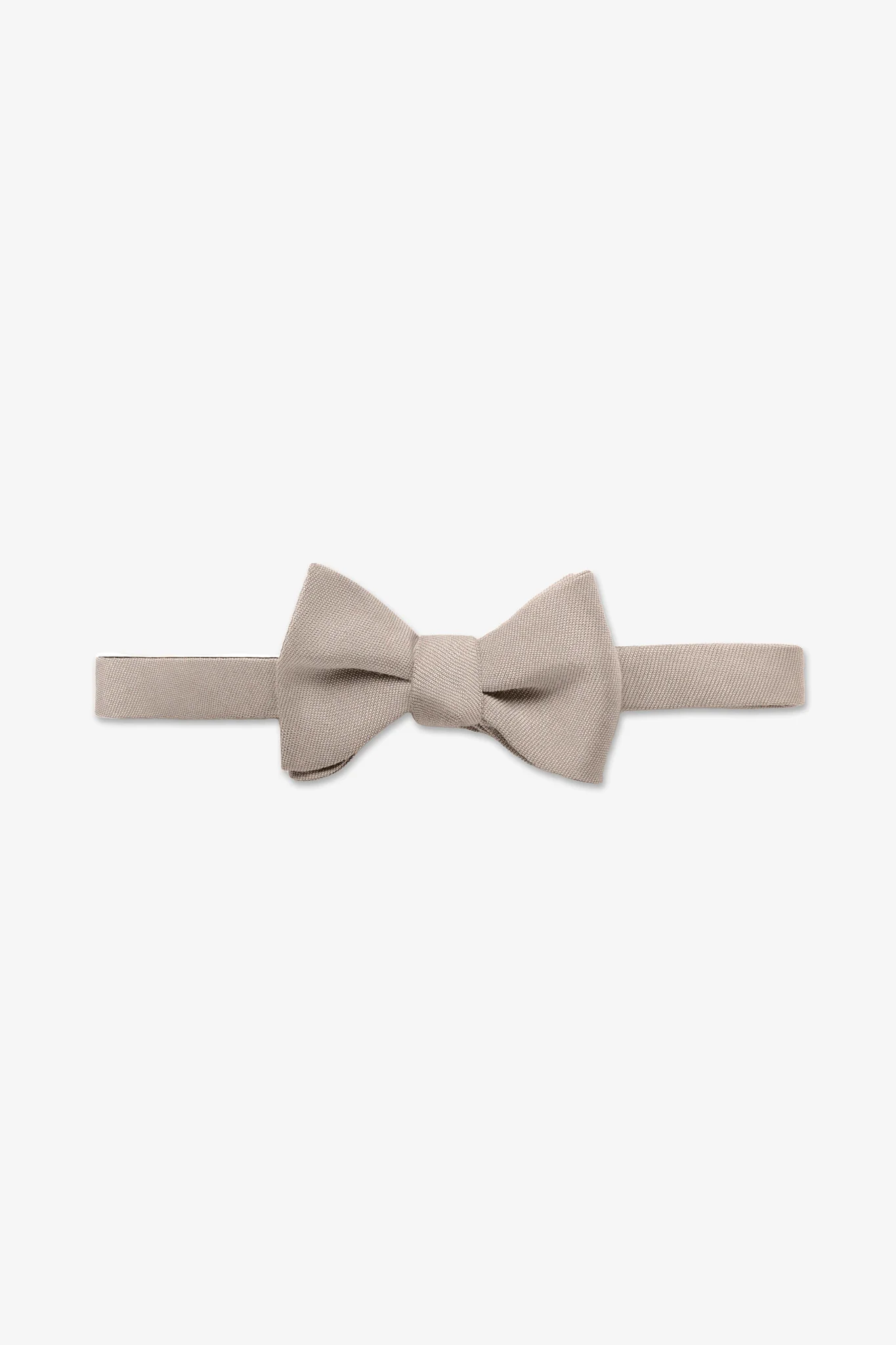 Daniel Bow Tie - Champagne - Image 3