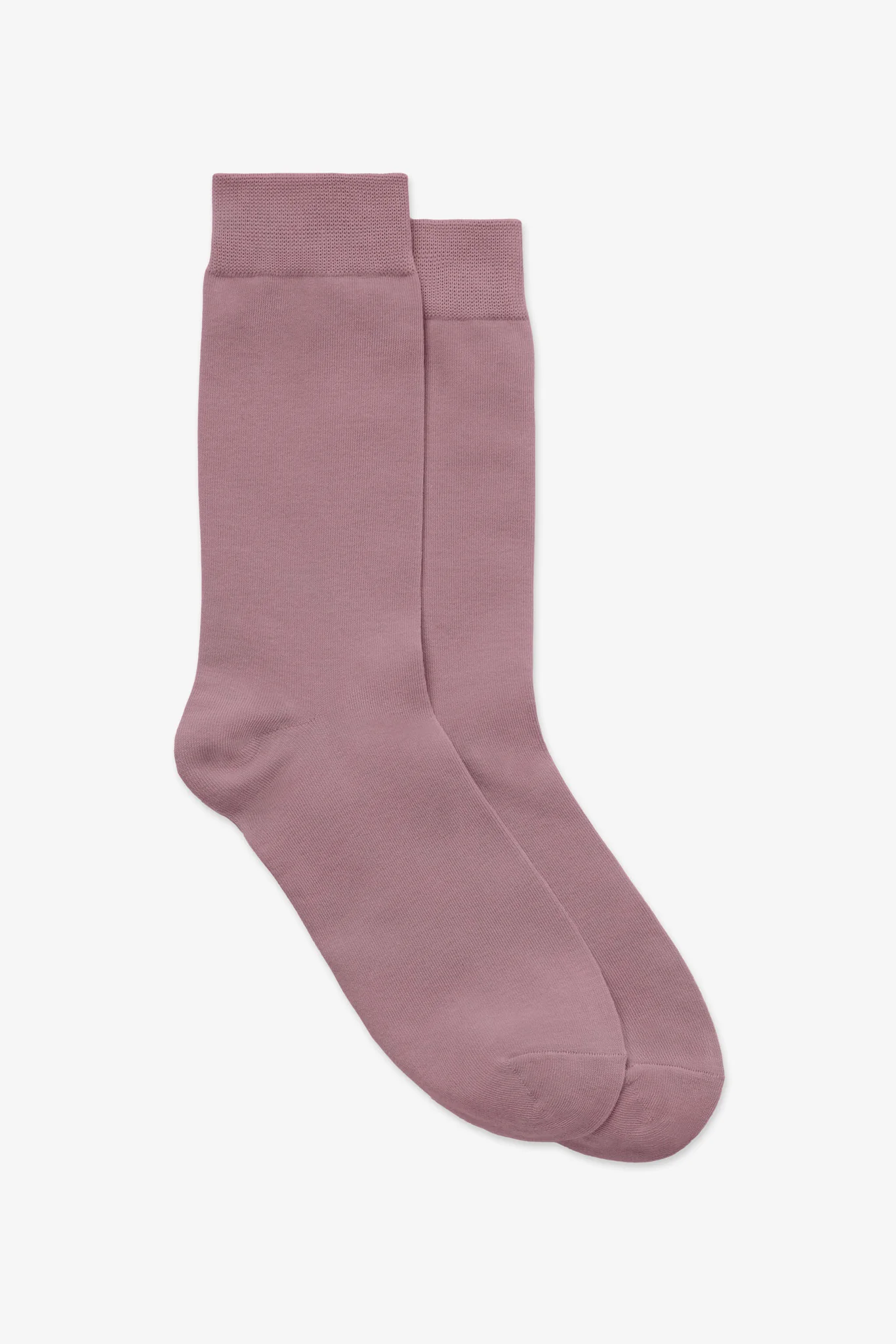 Kevin Socks - English Rose