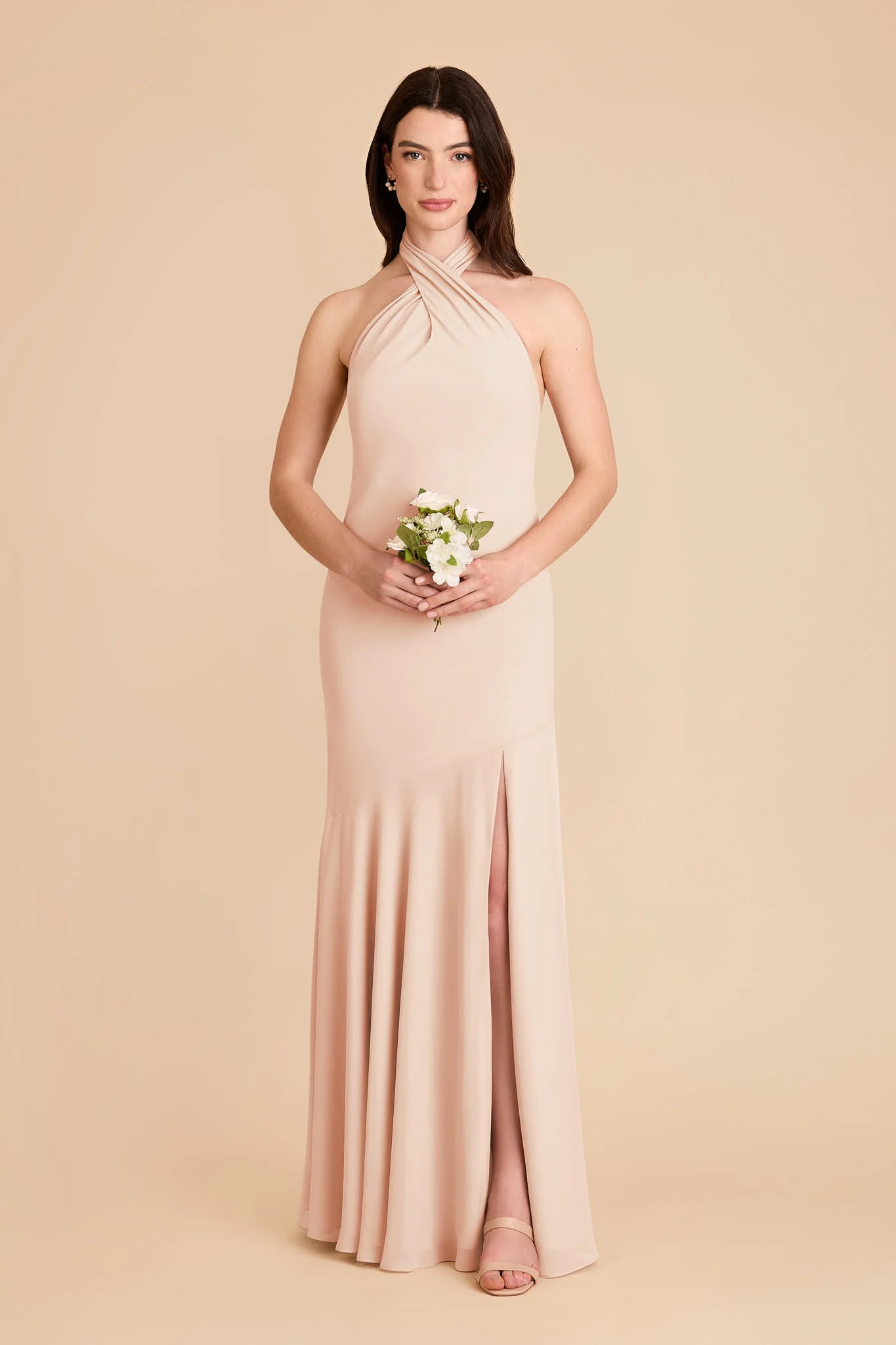 Stephanie Chiffon Dress - Pale Blush